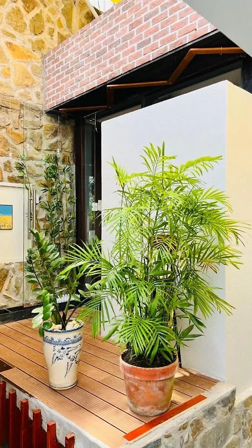 Bubu House Villa Vung Tau 0*,