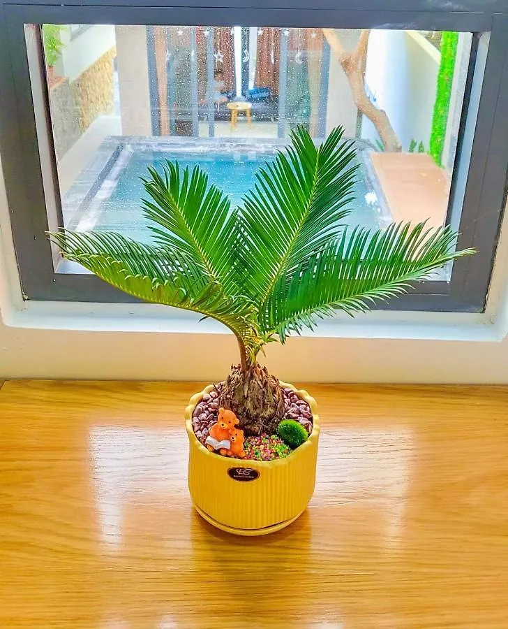 Bubu House Villa Vung Tau Vietnam